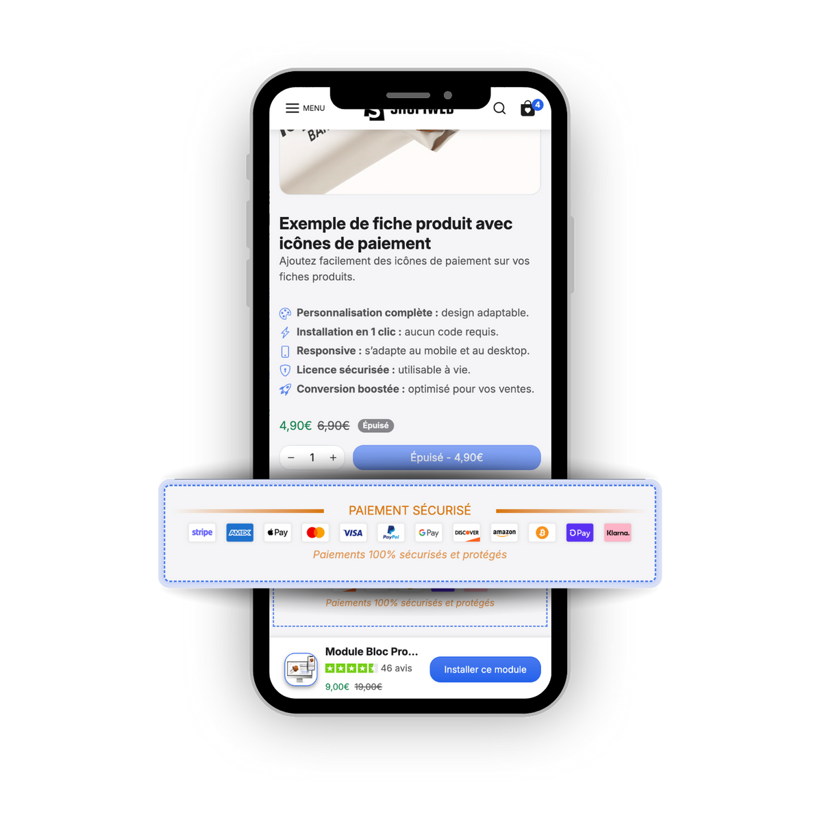 Module Bloc Produit Icônes de Paiement